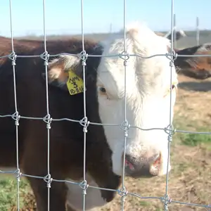 Горячая распродажа, забор из проволочной сетки для домашнего скота