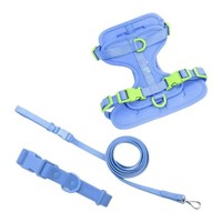 Ensemble laisse et harnais personnalisé transfrontalier pour chien, avec lumières, rembourré, détails rivetés, en PVC, style gilet, souple et anti-éclatement, pour petits/grands chiens