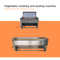 Industriële aardappelwasser en -schiller met hoge capaciteit, fabrieks prijs, elektrisch, automatisch, geschikt voor zoete aardappel en yam.