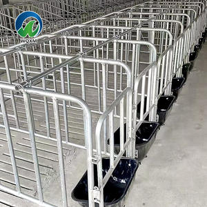 Nouvel équipement d'élevage porcin, cages, caisses de gestation, enclos pour porcs, type A, acier galvanisé à chaud, écologique - Product Image 2