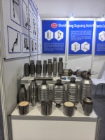 Système d'échappement Foton Auto Parts Aumark Diesel, catalyseur à trois voies EURO 4 à noyau céramique/métal, convertisseurs catalytiques à montage direct