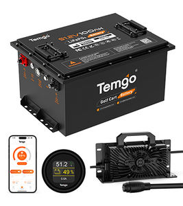 แบตเตอรี่รถกอล์ฟ TEMGO 48V 100Ah แบบ Deep Cycle ชาร์จซ้ำได้ แบตเตอรี่ลิเธียมไอรอนฟอสเฟต (LiFePO4) เกรด A สำหรับรถกอล์ฟและรถคลับคาร์ - Product Image 2