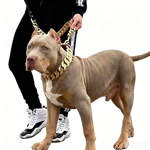 Kalung Anjing Rantai Cuban Tebal Baja Anti Karat 32mm Berlapis Emas PVD Tahan Air dengan Logo Kustom Grosir - Product Image 4