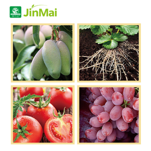 <span class=keywords><strong>Engrais</strong></span> organique liquide à haute teneur en potassium 160-60-360, suspension d'acides aminés NPK pour l'agrandissement des fruits - Product Image 4