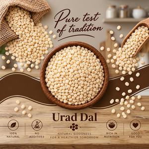 Lentejas Negras Urad Dal Indias, Enteras o Partidas, de Primera Calidad, para Productos Alimenticios Tradicionales, Producción de Harina, Bocadillos y Restaurantes - Product Image 2