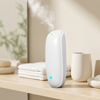 Diffuseur d'huiles essentielles portable à ultrasons basse consommation, fabrication chinoise, vente directe d'usine, pour hôtel et usage domestique, en plastique, garantie 1 an