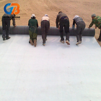 Manta Impermeable de Bentonita Geocompuesta GCL, Revestimiento Geotextil para Proyectos de Estanques, Lagos y Presas