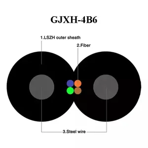 Fiber Drop Cable Outdoor 1 2 4 Core G652 G652d G657a G657a2 Ftth Single Mode Fibra Optica Wire Sc G657 Lszh Drop Cable