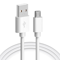 Câble de charge rapide USB 2.4A 12W en PVC blanc et noir OEM, très vendu, pour iPhone 12 13 et iPad