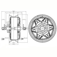 New QS Motor 12 Inch 260 5000W Interplanetary Cover V4 72V 100-120KPH High Speed Racing Electric Motorcycle Wheel Hub Motor