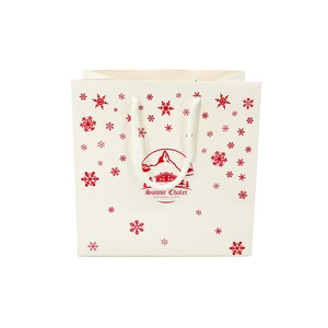 Bolsas de Papel Impresas Personalizadas con Logotipo para Tiendas Minoristas, Boutiques de Ropa y Soluciones de Empaque para Regalos - Product Image 2