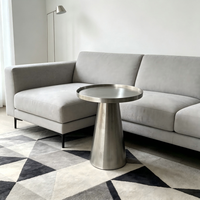 Table basse moderne minimaliste de luxe léger en acier inoxydable, portable et détachable pour salon, extérieur et balcon