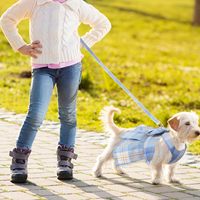 Ensemble de 4 robes classiques à carreaux en coton pour chien avec nœud papillon, harnais et laisse pour petits chiens, tenue d'Halloween (taille S, couleur claire)