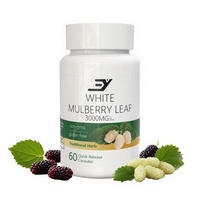 Capsules de feuilles de mûrier blanc 3000mg en gros, OEM, ODM, marque privée, sans OGM, sans gluten, complément alimentaire à base de plantes pour le soutien immunitaire