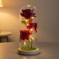 Rose éternelle artificielle Botu avec lumière LED, La Belle et la Bête sous cloche en verre, décoration de Noël pour la maison, cadeau pour la fête des mères, la Saint-Valentin