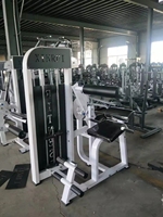 XINRUI Fabricant d'équipement de fitness professionnel Équipement de fitness commercial Machine d'extension du dos pour la salle de sport