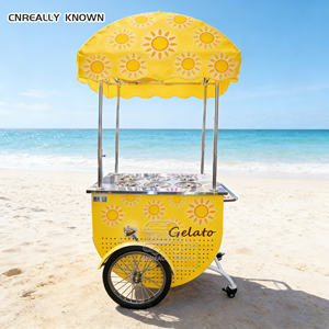Carrito de Helados Móvil Personalizado para Festivales Callejeros, Parques, Playas, Negocios y Alquiler - Product Image 5