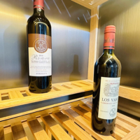 Cave à vin thermostatique moderne en acier inoxydable pour hôtels et restaurants, pour l'affichage de whisky et l'utilisation en bar de salon