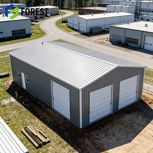 Centre de distribution e-commerce, entrepôt de tri, logistique transfrontalière, structure en acier préfabriquée, grand appartement, hôpital - Product Image 1