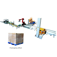 Empileur automatique de palettes/robot empileur pour la fin de ligne de conditionnement en cartons