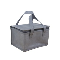 Groothandel Modieuze Eco Vriendelijke Pp Non Woven Fruit Voedsel Koeler Draagtas