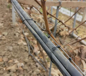 Clips de viticulture professionnels pour l'Italie - Crochets de treillis entièrement en plastique pour la vigne - Outils de support pour kiwis destinés aux vignobles européens - Product Image 2