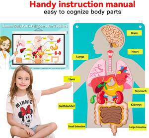 Activités éducatives sensorielles pour tout-petits : Pièces du corps – Tableau en papier et feutre bleu pour l'apprentissage préscolaire, les arts et l'artisanat, utilisation à domicile ou à l'école - Product Image 3