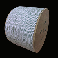 Corde en UHMWPE souple et résistante de 4 mm pour le kite-surf, la promotion de la pratique des cascades