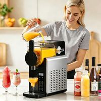 Machine à slush professionnelle à réservoir unique pour les commerces de boissons froides, machine à jus et boissons glacées, vente en gros
