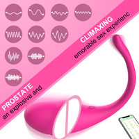 Vibrateur APP pour l'amour de la partenaire, jouets sexuels en silicone rechargeables, vibrateur APP point G, stimulateur vaginal clitoridien pour femmes, fournisseur