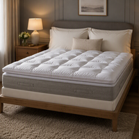 Surmatelas en coton de style hôtel 5 étoiles, épaissi, chaud, respirant, lavable, anti-acariens, antibactérien, usage hospitalier