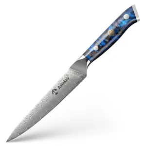 Hot Selling Professional 67 Layers Damascus VG10 Steel 5Inch Utility Knife With Resin Handle