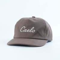 Gorra de 5 Paneles de Alta Calidad OEM, Diseño Personalizado de Alta Calidad, Visera Ligeramente Curvada, Gorras de Perfil Bajo con Logotipo Bordado Plano