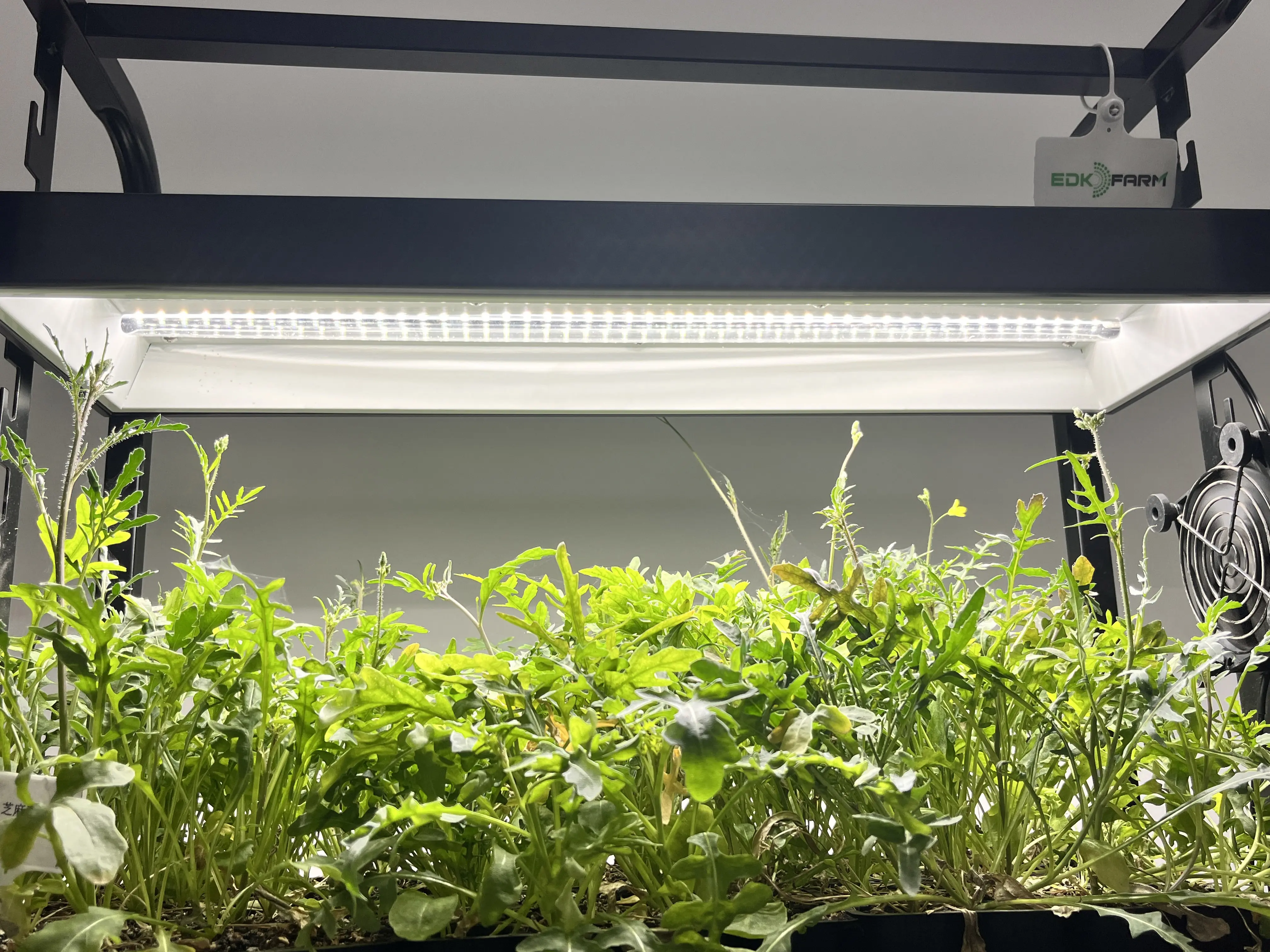 Многофункциональная умная система для выращивания растений для дома и сада, подставка для растений, легкая полка, набор для выращивания со светодиодной подсветкой