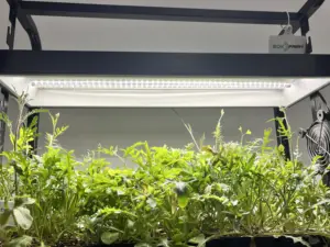 Sistema de cultivo de macetas de jardín inteligente multifunción, soporte de cultivo de plantas para el hogar y el jardín, kit de cultivo de estante de luz con luces LED