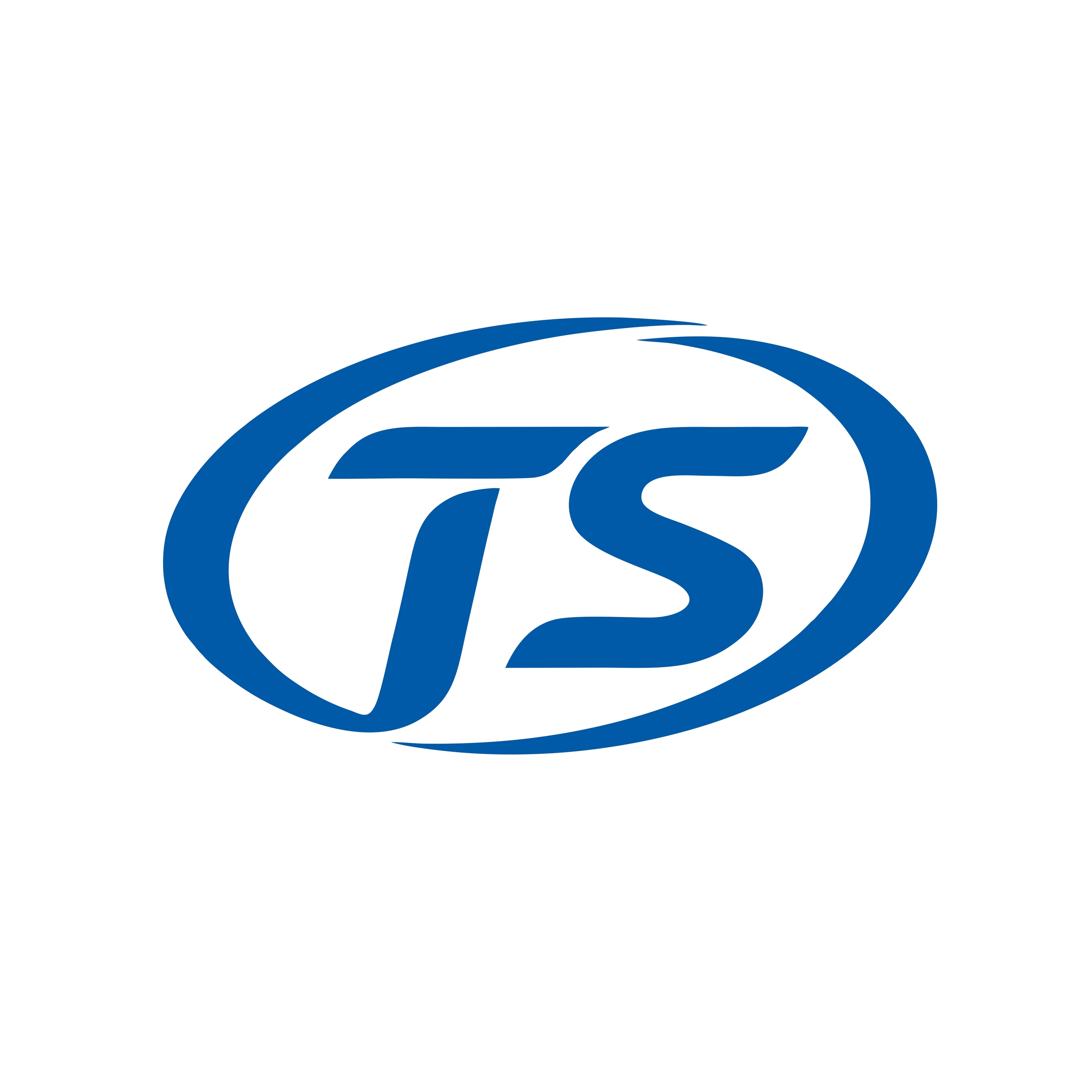 Cangnan Taishi Textile Co., Ltd. logo