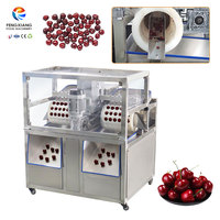Machine à dénoyauter les cerises à double canal carré, capacité 200 kg/h, fournie directement par l'usine