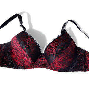 Conjunto de sujetador y bragas de encaje con estampado Floral, conjunto de sujetador de lencería Sexy para mujer, conjunto de ropa interior íntima para mujer, <span class=keywords><strong>Copa</strong></span> <span class=keywords><strong>D</strong></span> 85-110, 2017 - Product Image 4