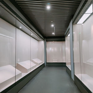 תצוגת אמנות ברמה גבוהה מותאמת אישית מציגה לאורך ארונות קיר - Product Image 6