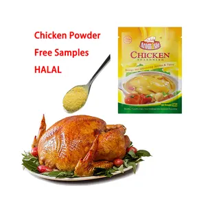 Halal 2024 New Recipe Spices 10g/100g/25kg Chicken Flavor Seasonings Powder For Wholesale