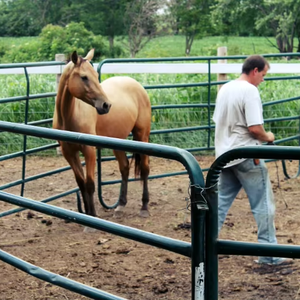 لوحة سياج الماشية لساحة الحصان - Product Image 1