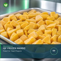 XMSD IQF Mangga Beku Potong Dadu dalam Kemasan Massal untuk Aplikasi Potongan Buah yang Terlihat dan Pengolahan Lanjutan