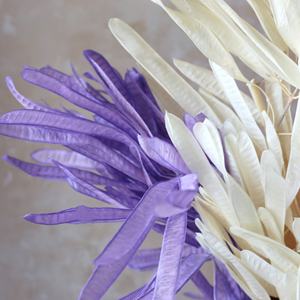 Dolichos lablab ดอกไม้และพืชฝักถั่วดอกไม้แห้งดอกไม้ตกแต่งบ้าน - Product Image 1