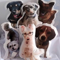 Coussin de Simulation 3D de chien, coussin en peluche dalmatiane, nouveau, pour le bureau, Golden Retriever, Animal