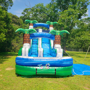 Obstáculo de rebote en seco Bouncer y tobogán inflable Super High Ch Unisex 1 pieza Castle Logo Free Strong PVC 5-7 días de trabajo - Product Image 1