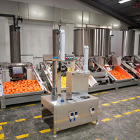 Goede Kwaliteit Automatische Industriële Watermeloen Pompoen Ananas Papaja Dunschiller Machine