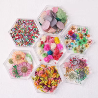 Autocollants 3D professionnels pour nail art en fleurs séchées naturelles, décorations artificielles pour ongles pour salon de manucure