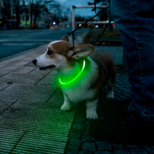 Pet Supplies LED <b>Dog</b> Pets Collars USB Rechargeable with Design Glowing <b>Dog</b> Collar Adjustable Flashing Collar Led for <b>Dogs</b> - Product Image 6