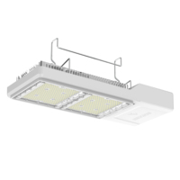 800W 2 .. 5Umol/J Dapat Diredupkan 1: 1 Pengganti HPS Mirip dengan Gavita CT 1930e Lampu Tumbuh Spektrum Penuh