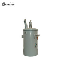GIANTTREE 25KVA 30KVA 37.5KVA 50KVA 80KVA 167KVA Transformadores de distribución montados en poste inmersos en aceite monofásicos ZHEJIANG